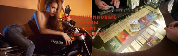 винт Алзамай