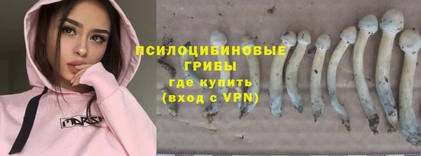 трава Алексин