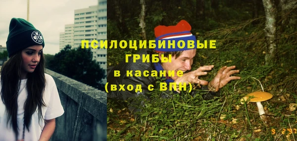 дмт Грязовец