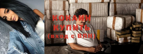 винт Абаза
