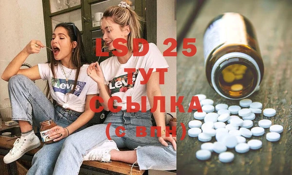 винт Алзамай
