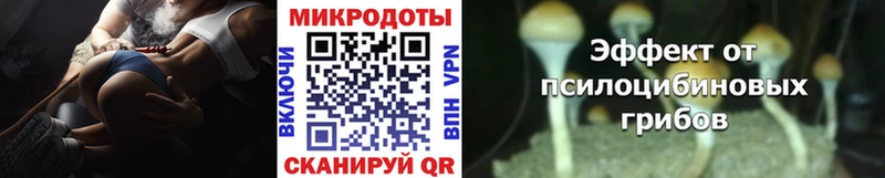 хочу наркоту  Мегион  Галлюциногенные грибы Psilocybine cubensis 
