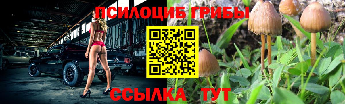 Псилоцибиновые грибы ЛСД  Вход с VPN  Мегион 