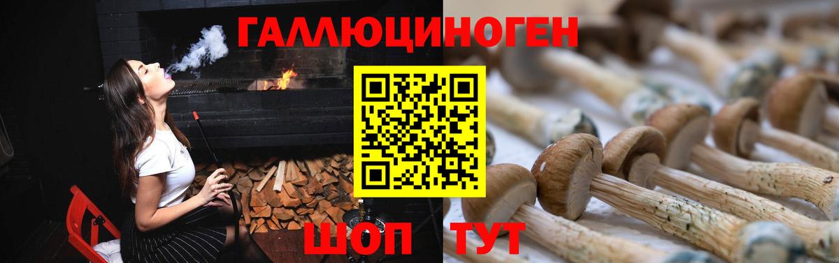 Галлюциногенные грибы GOLDEN TEACHER Мегион